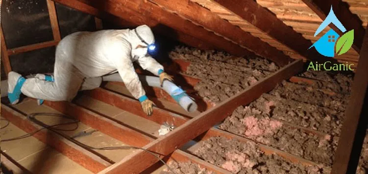 Slide of AirGanic - Edmonds