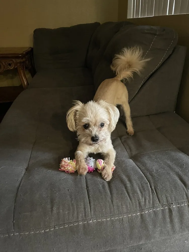 Slide of Airplus of California