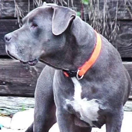 Slide of AirPros Energy