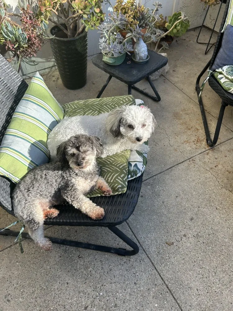 Slide of AirWorks Solutions