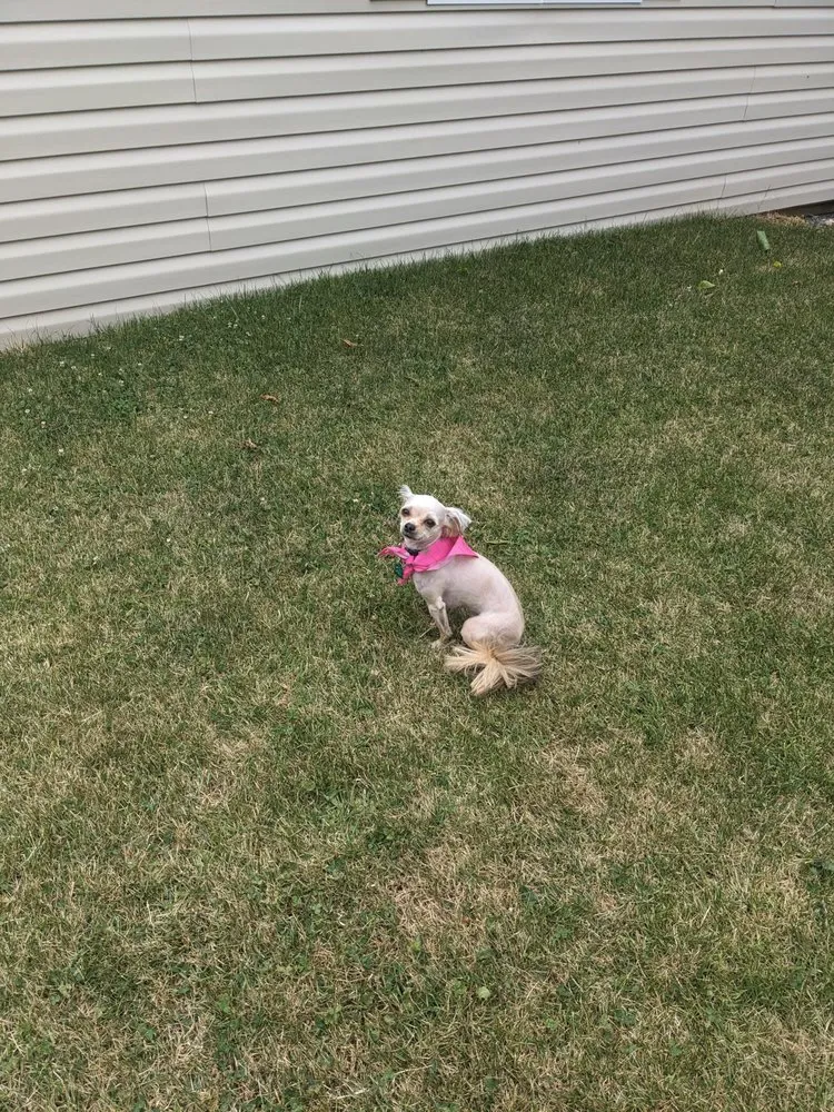 Slide of AJB Mechanical Heating and Cooling