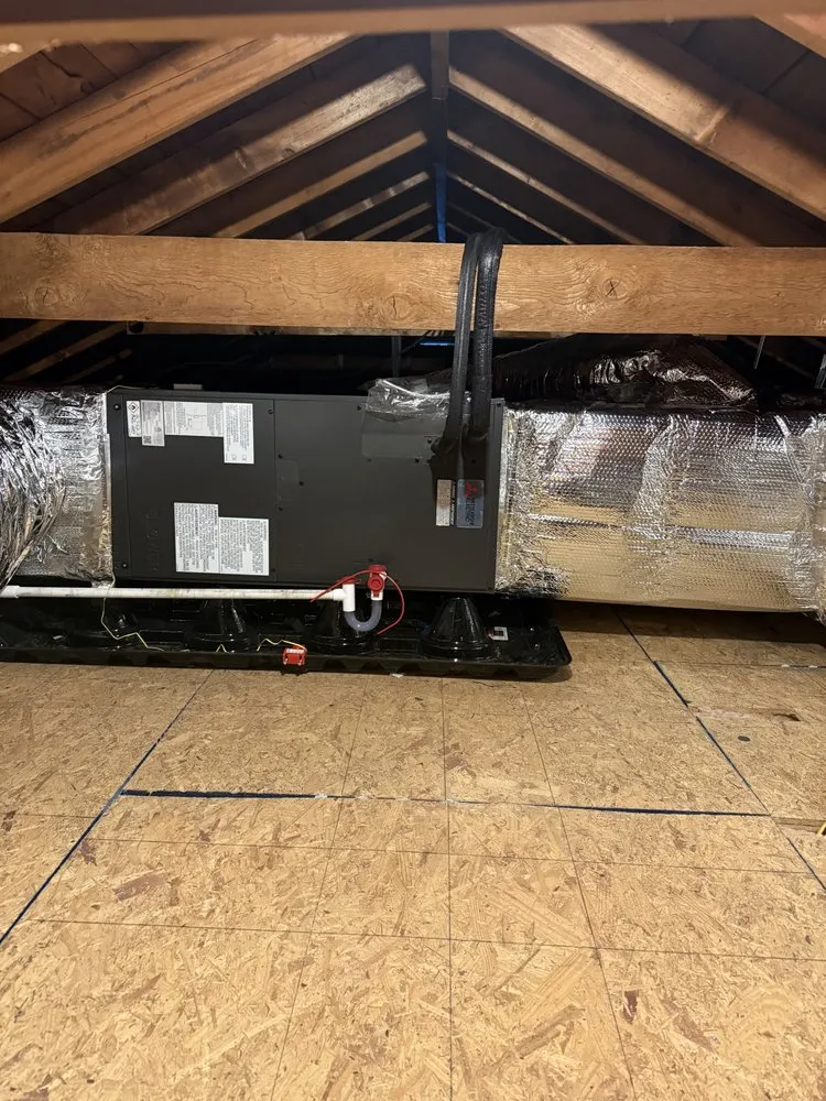 Slide of Alb Comfort