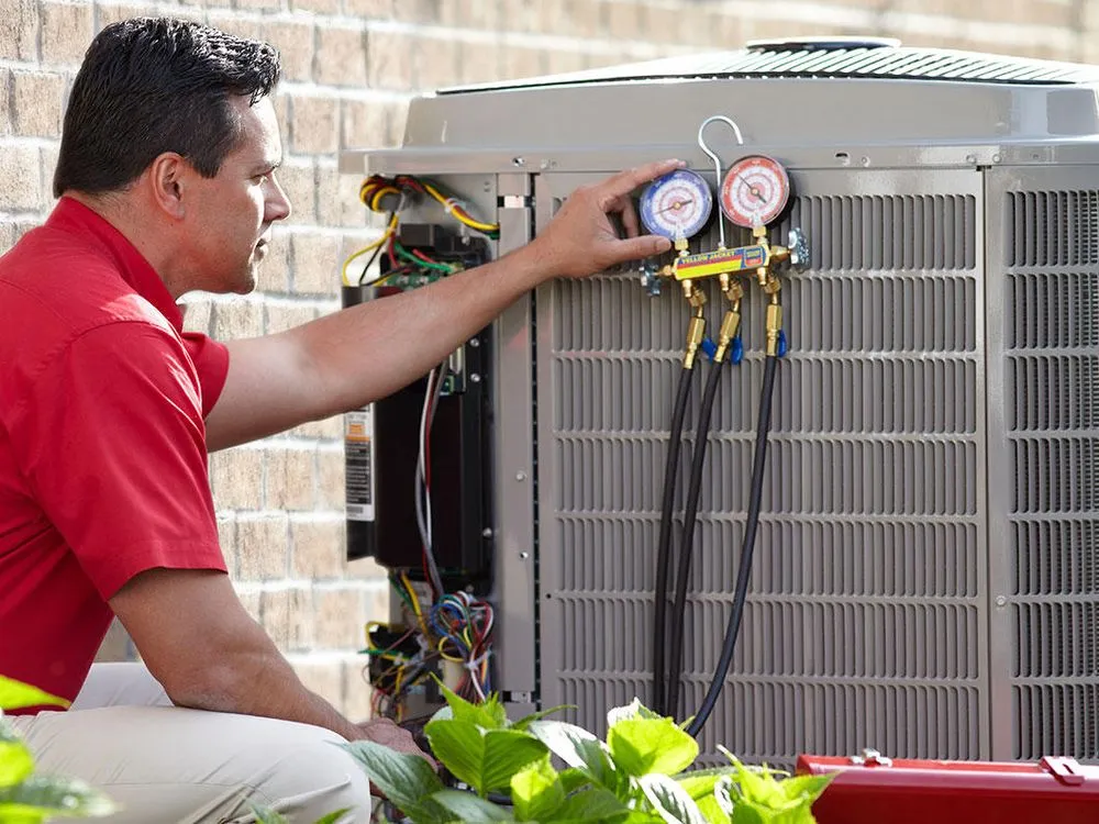 Slide of Albert Bachman & Sons