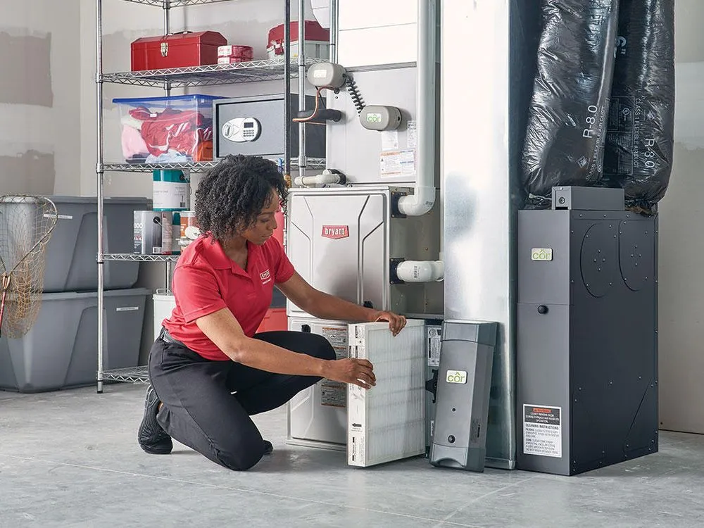 Slide of Albert Bachman & Sons