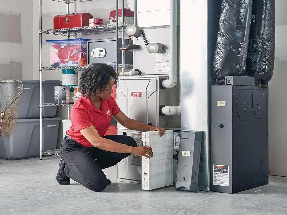 Slide of Albert Bachman & Sons