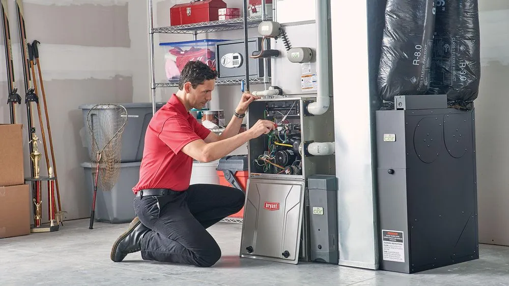 Slide of Albert Bachman & Sons