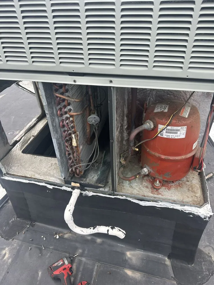 Slide of Alborz Corp