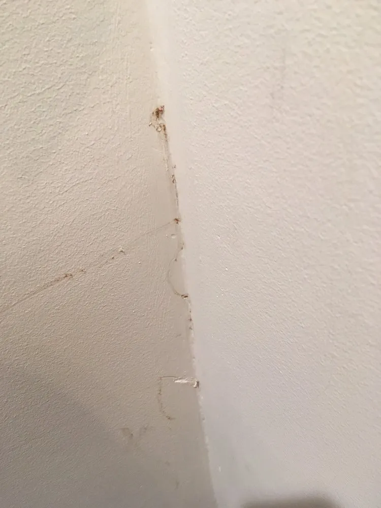 Slide of Alewife Air