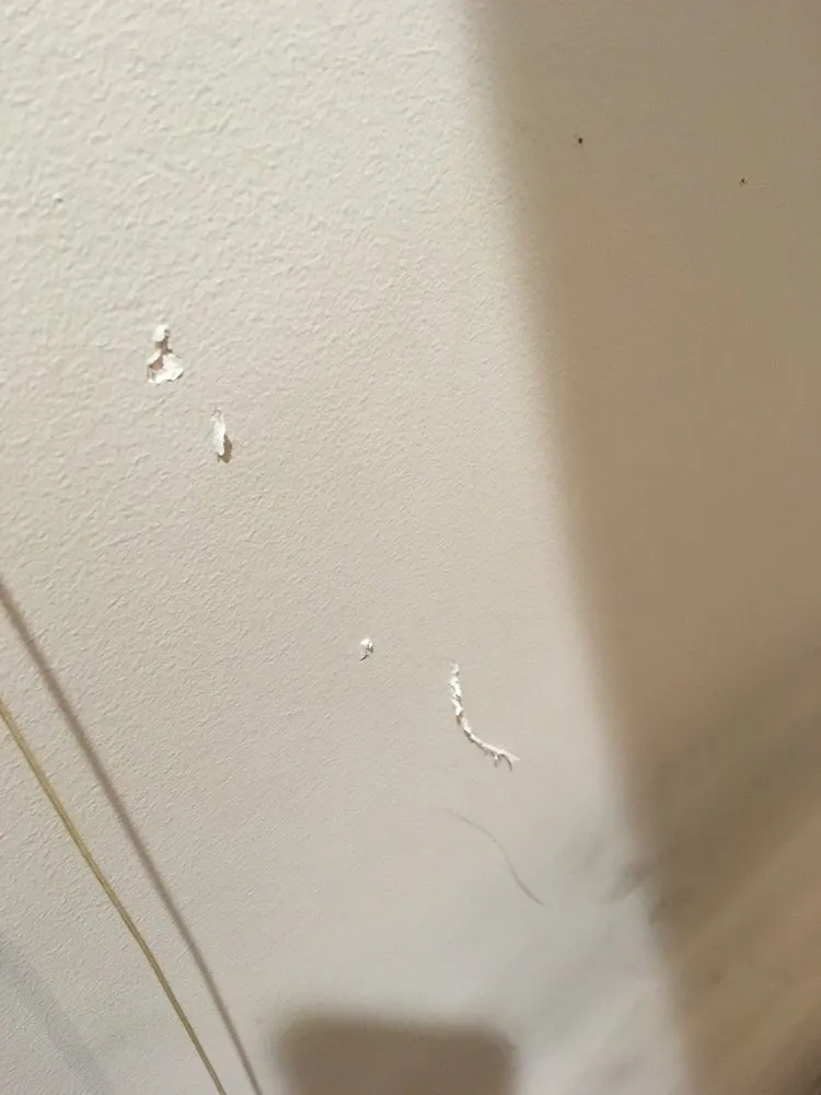 Slide of Alewife Air