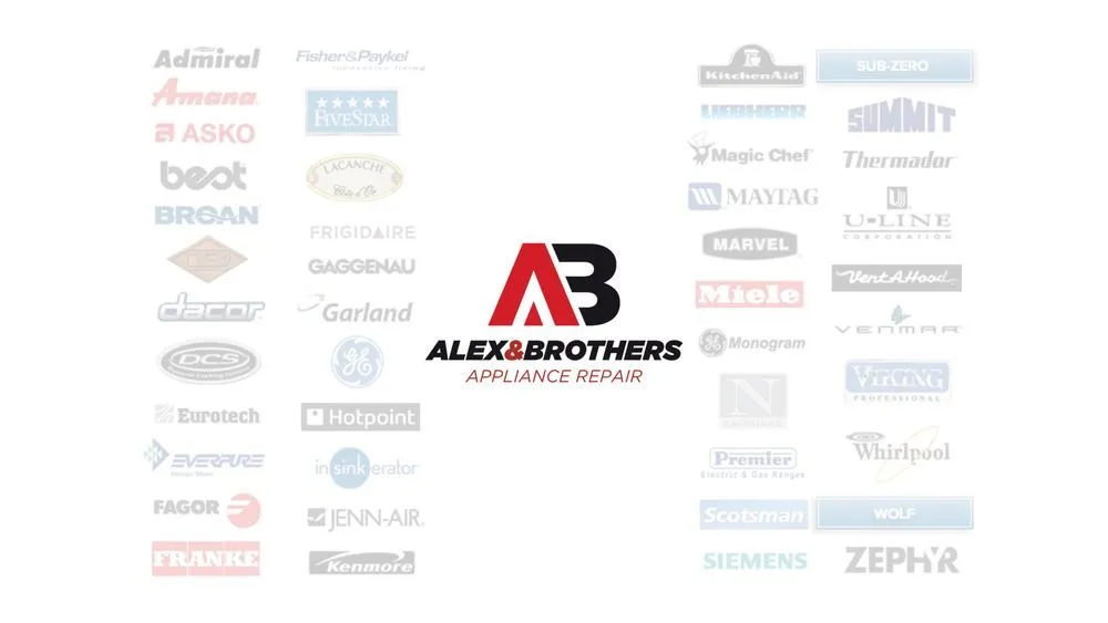 Slide of Alex & Brothers