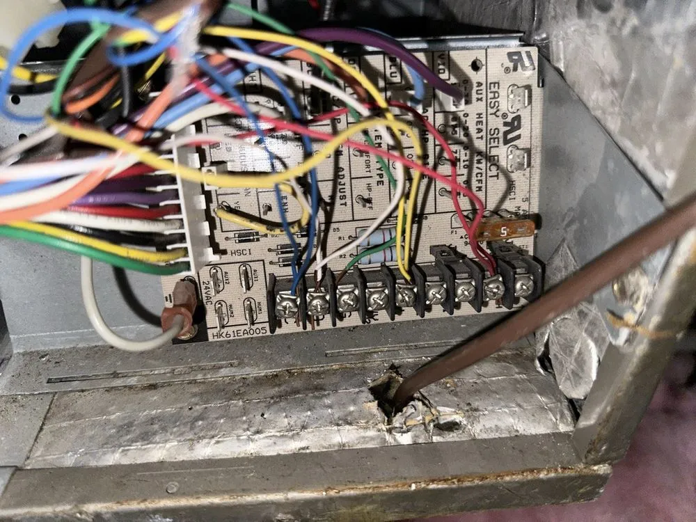 Slide of Alex & Brothers