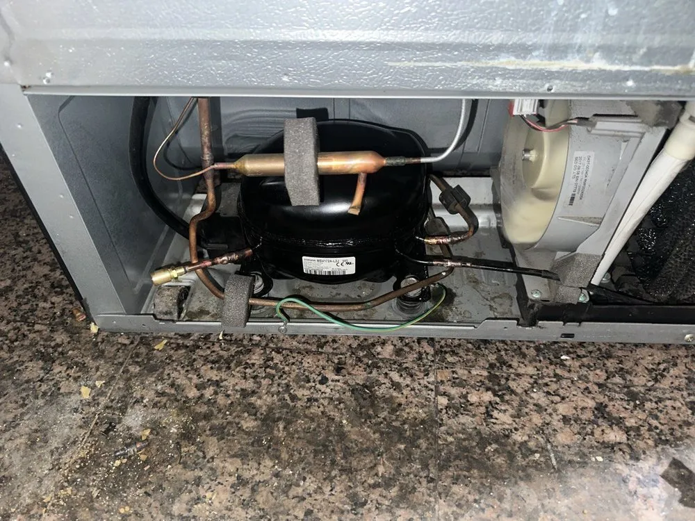 Slide of Alex & Brothers