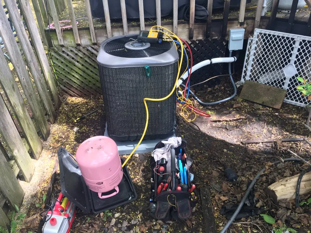 Slide of Alex Quality Services