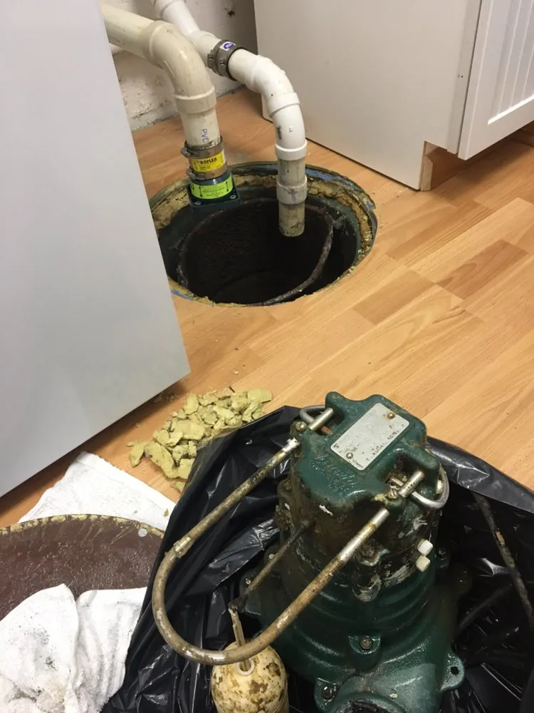 Slide of Alex Quality Services