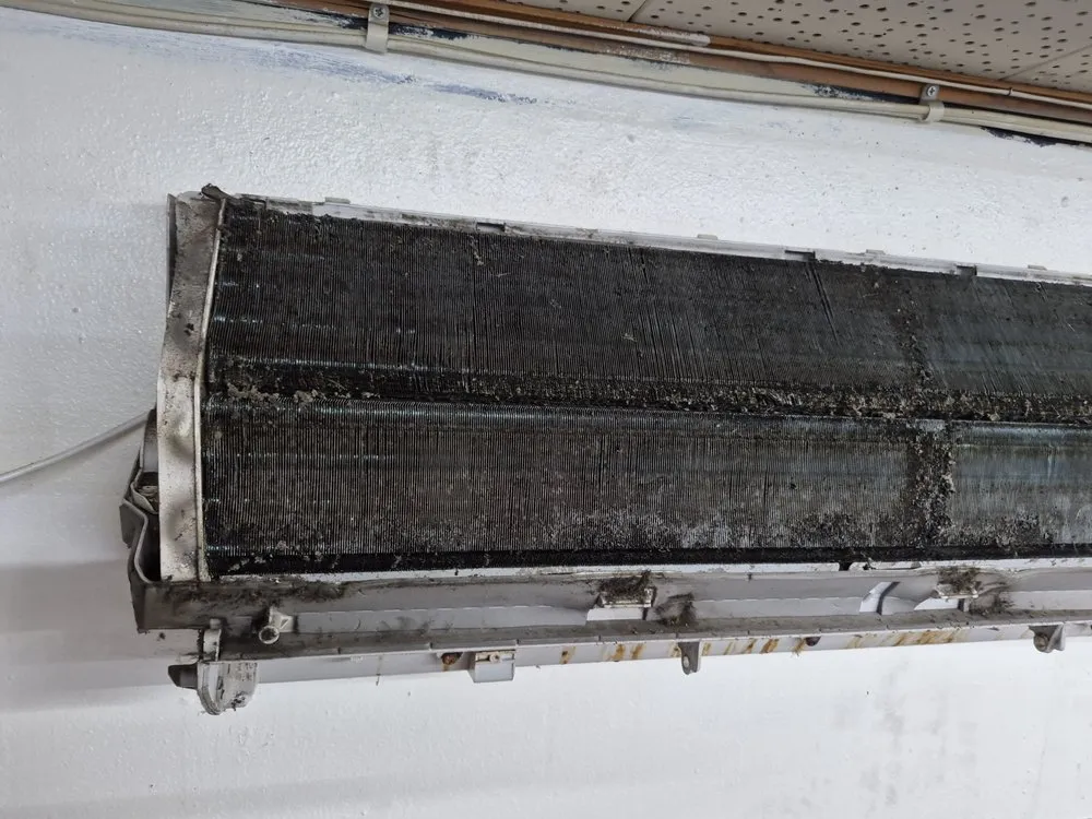 Slide of Alexa& Chris Remodeling