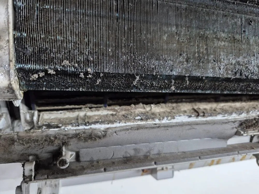 Slide of Alexa& Chris Remodeling