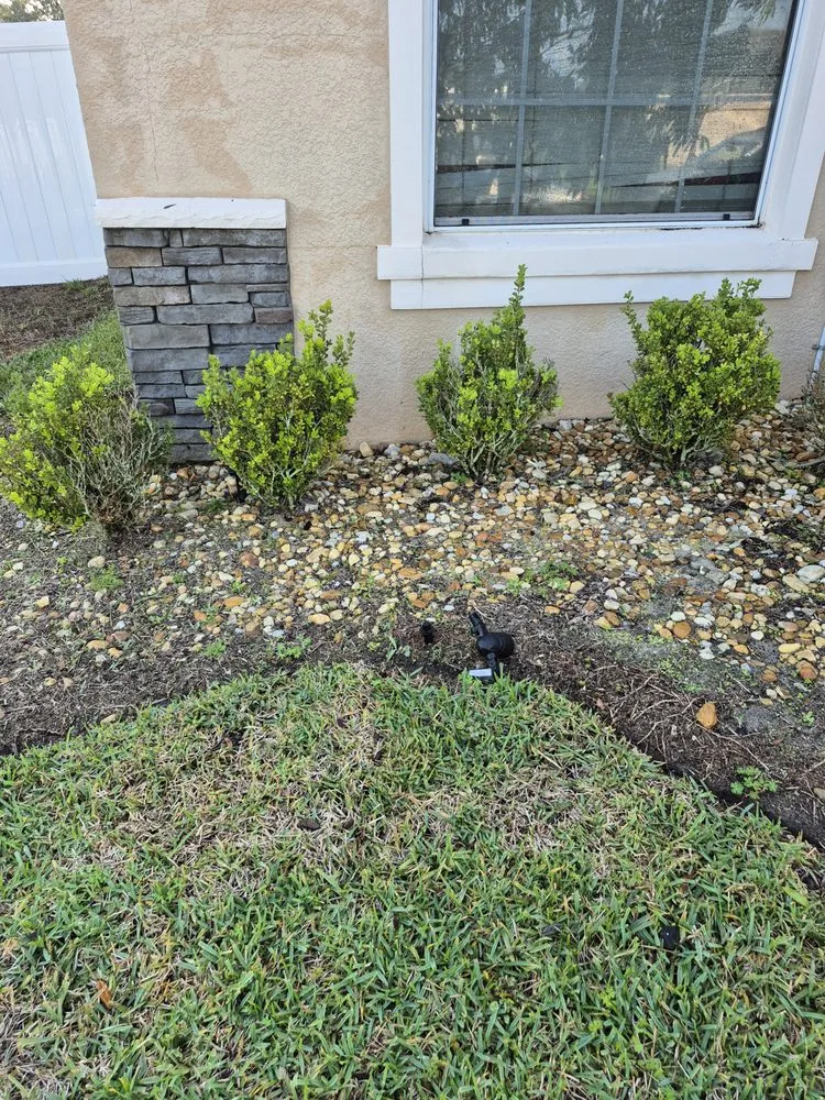 Slide of Alexa& Chris Remodeling