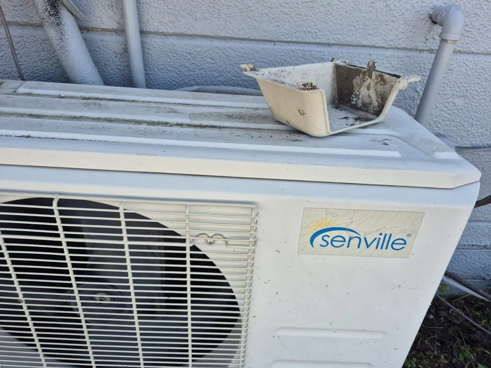 Slide of Alexa& Chris Remodeling