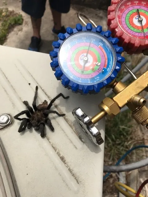 Slide of Alexander Services AC & Heat