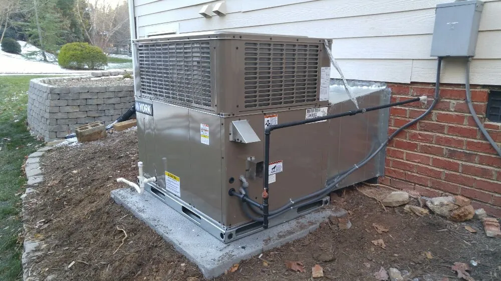 Slide of Alexander Services