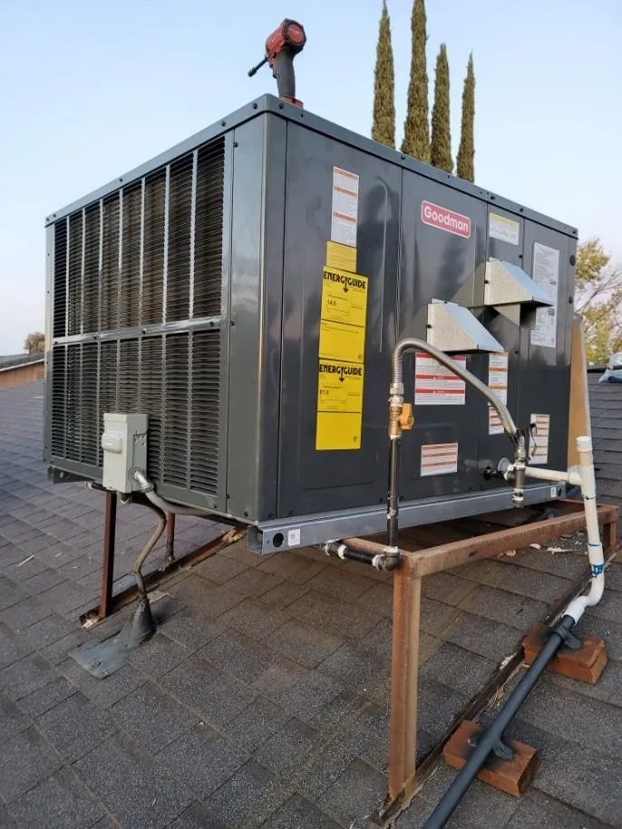 Slide of Alex's Company