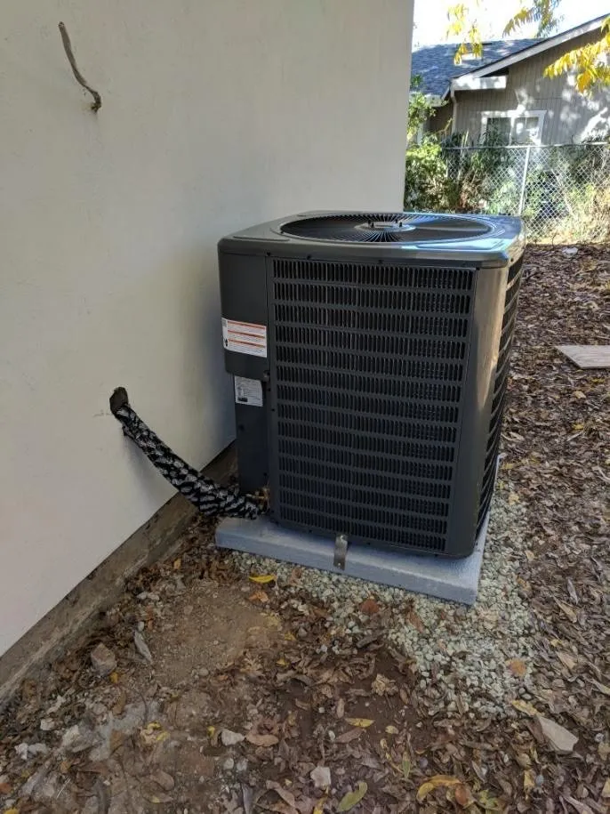 Slide of Alex's Company