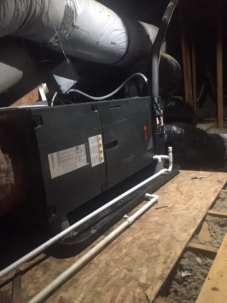 Slide of Alex's Company