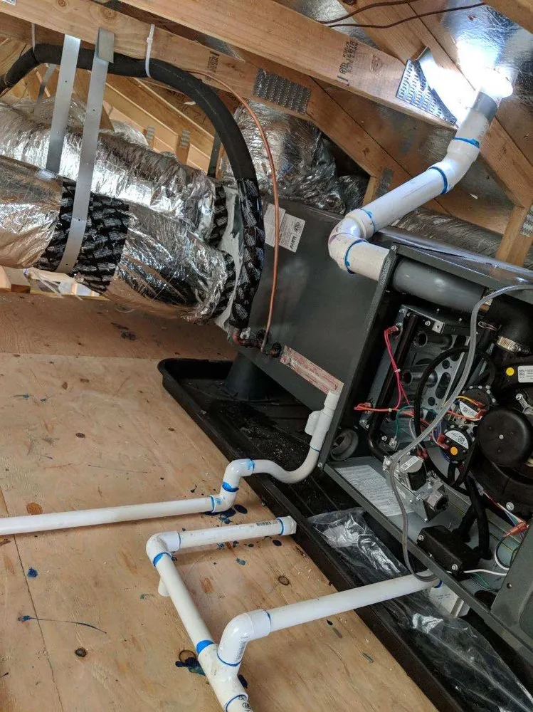 Slide of Alex's Company