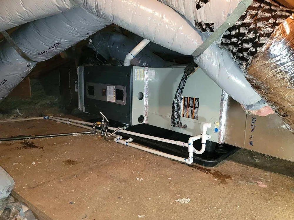 Slide of Alex's Company