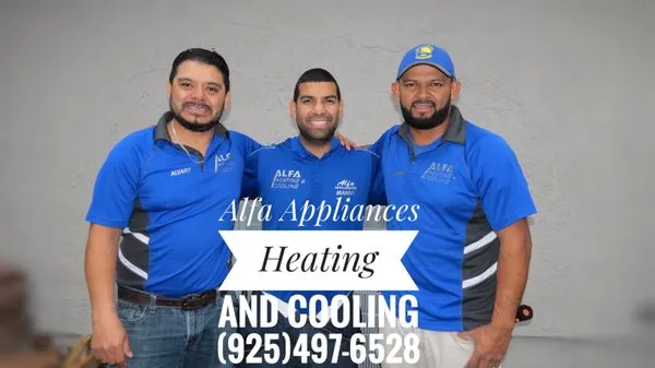 Alfa Heating and Cooling Logo