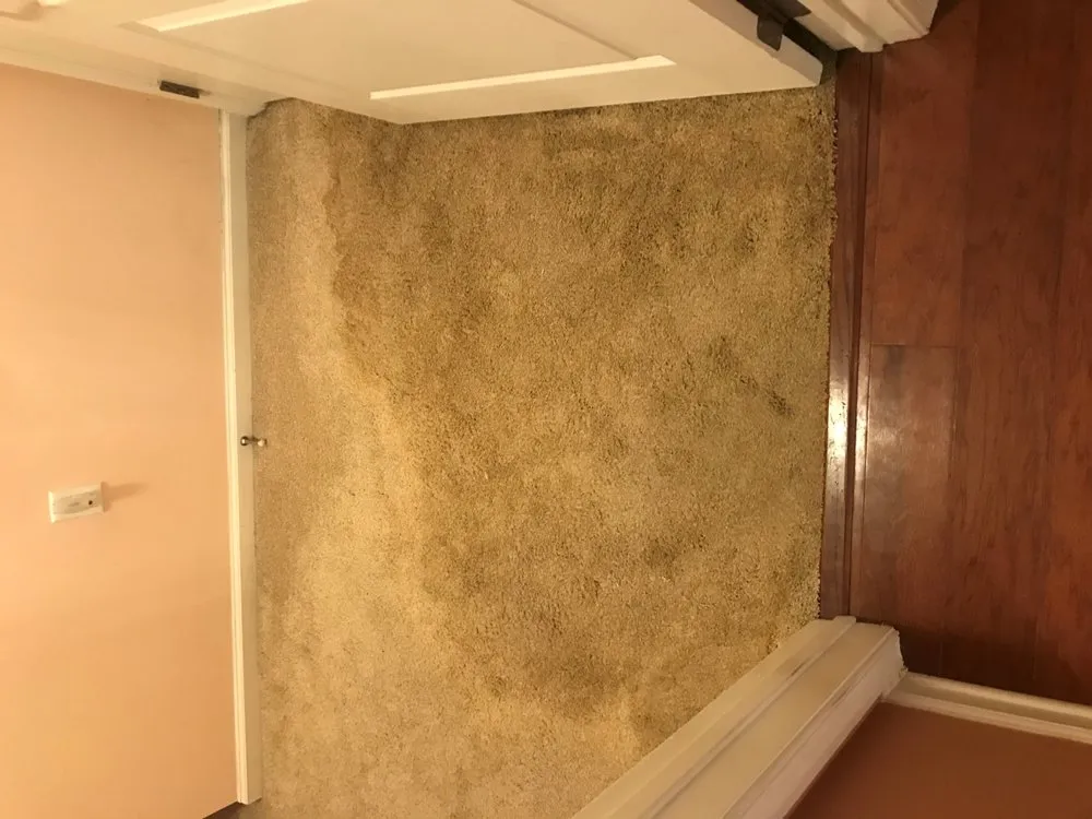 Slide of Alfano Mechanical