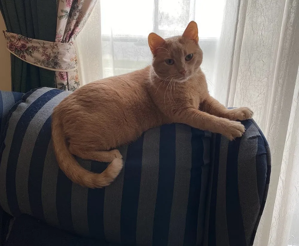 Slide of Algonquin Heating & Air Conditioning