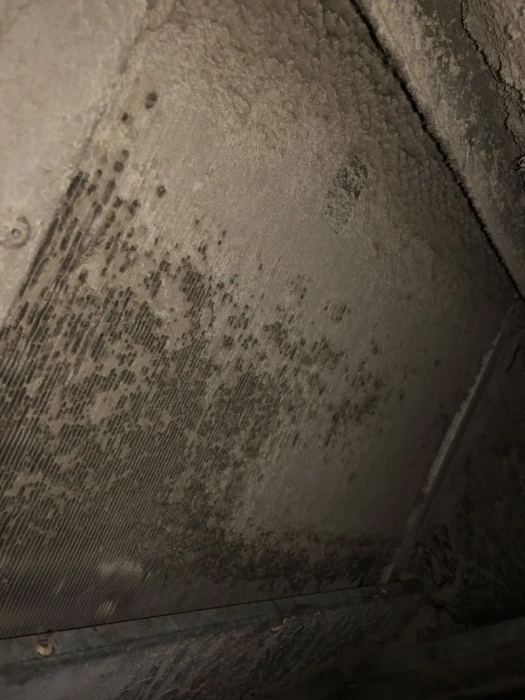 Slide of All 1 Mechanical