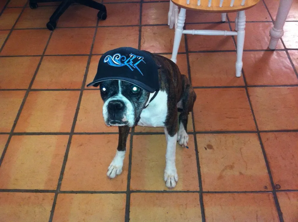 Slide of All 2 Cool Heating And Cooling