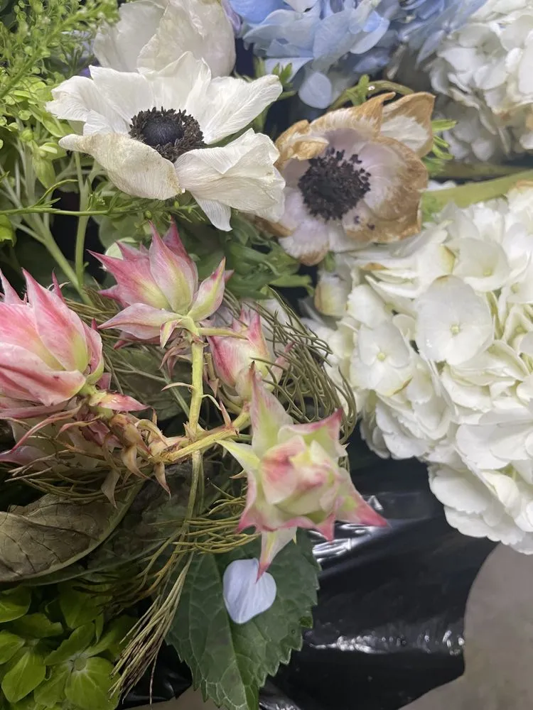 Slide of All About Air