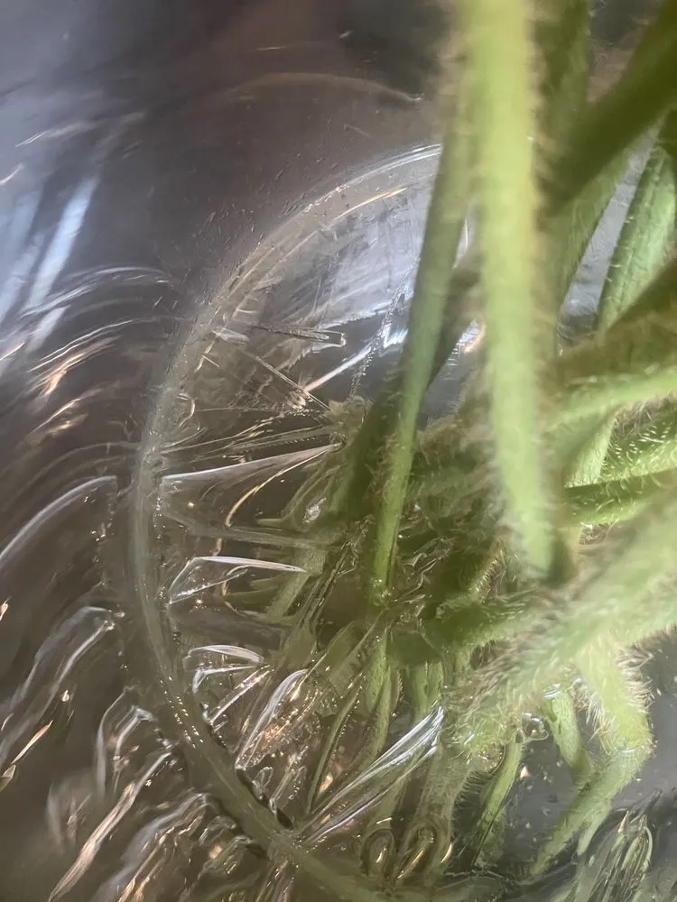 Slide of All About Air