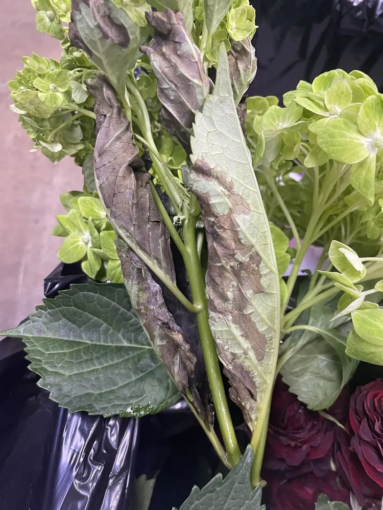 Slide of All About Air