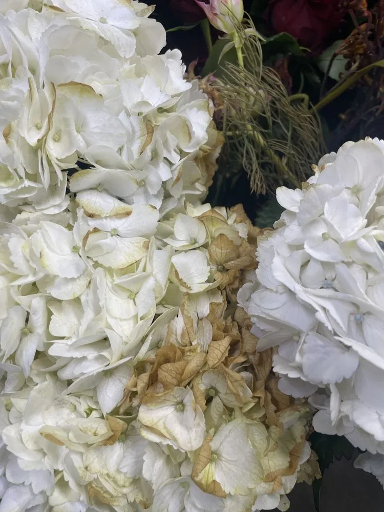 Slide of All About Air