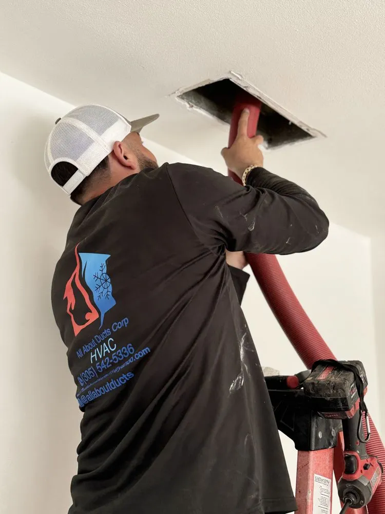 Slide of All About Ducts