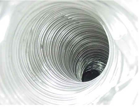 Slide of All About Ducts