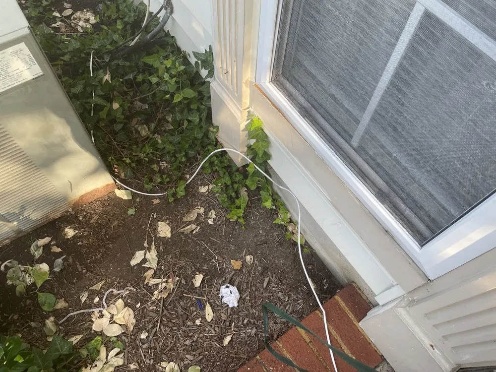 Slide of All About Services