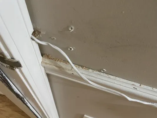 All About Services Logo