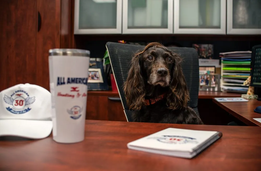 Slide of All American Heating & Air