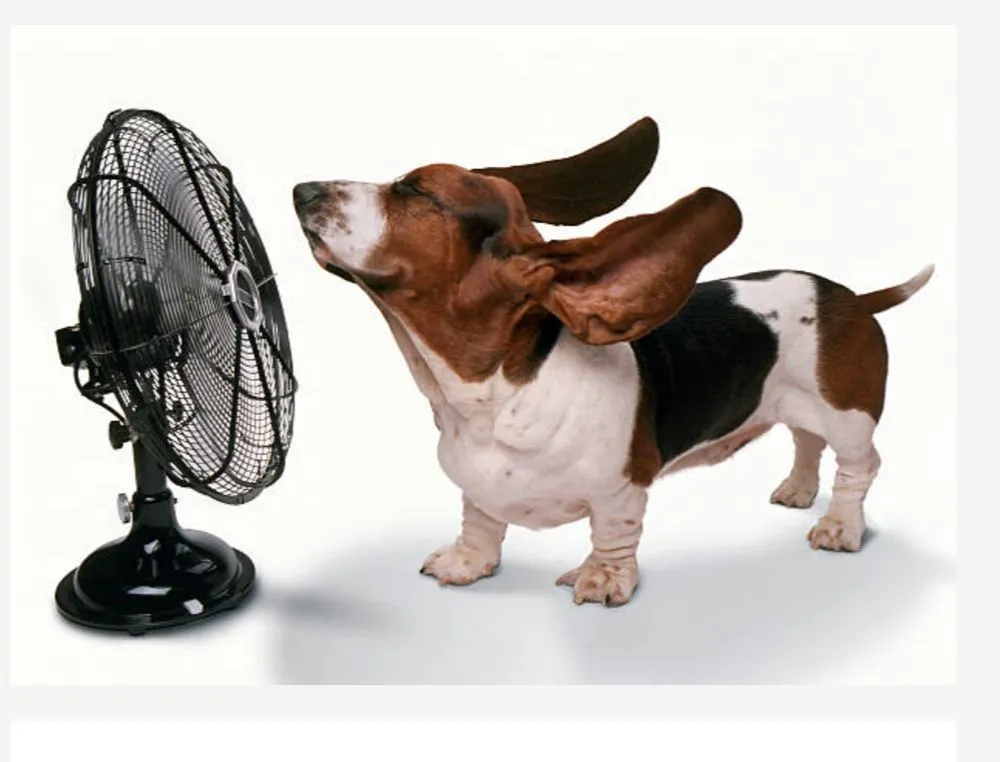 Slide of All American Heating and Air