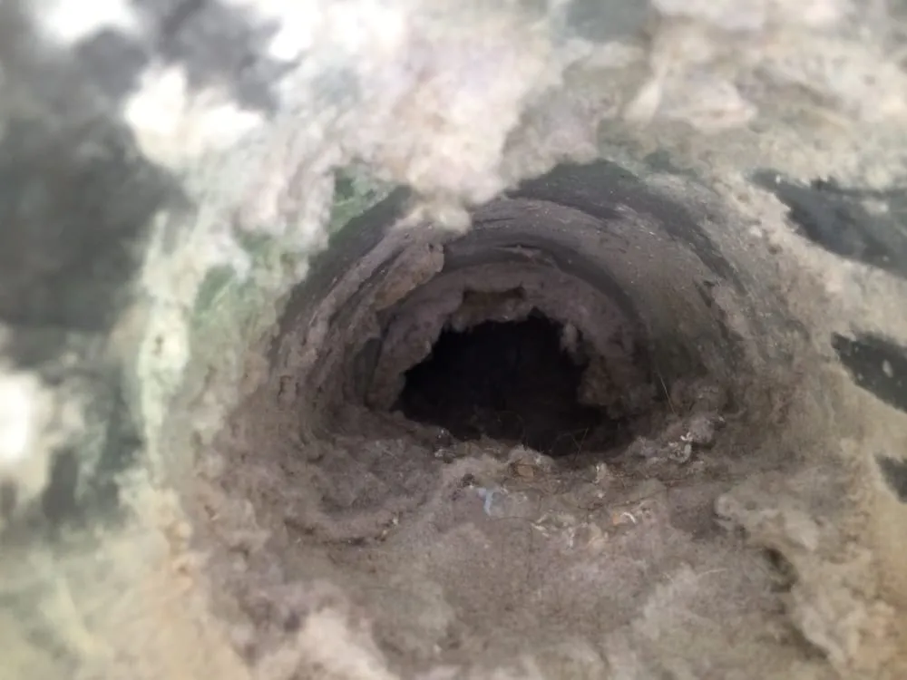 Slide of ALL American Plumbing Hvac