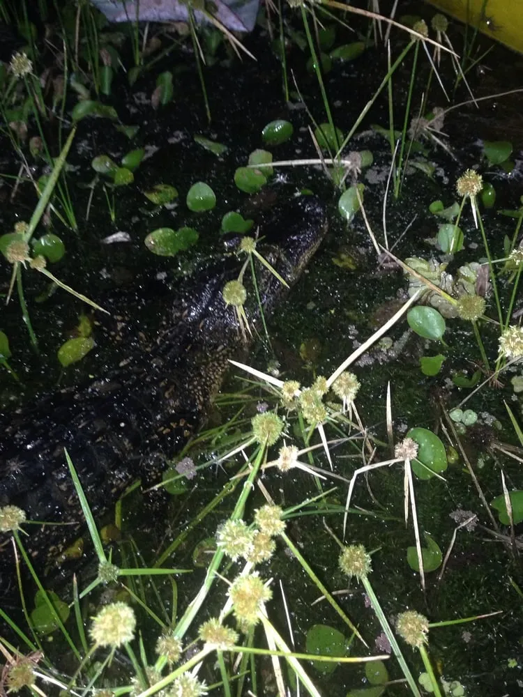 Slide of All Around A/C & Refrigeration