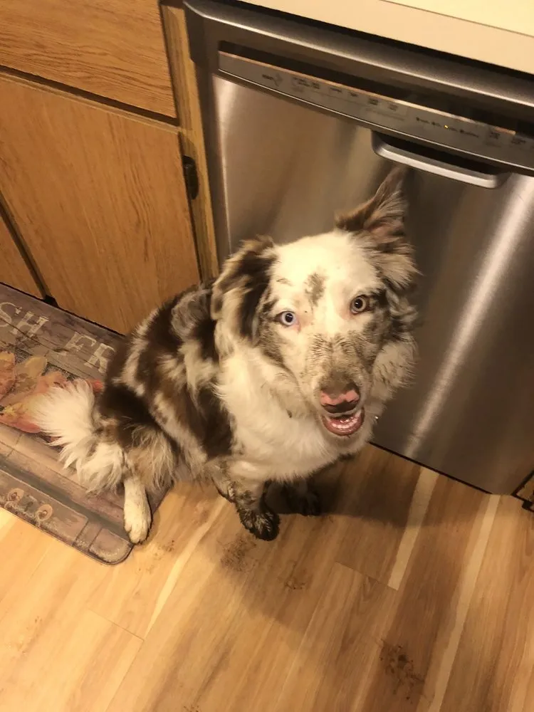 Slide of All Heating