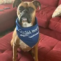 Slide of All Hours Plumbing, Heating & Cooling