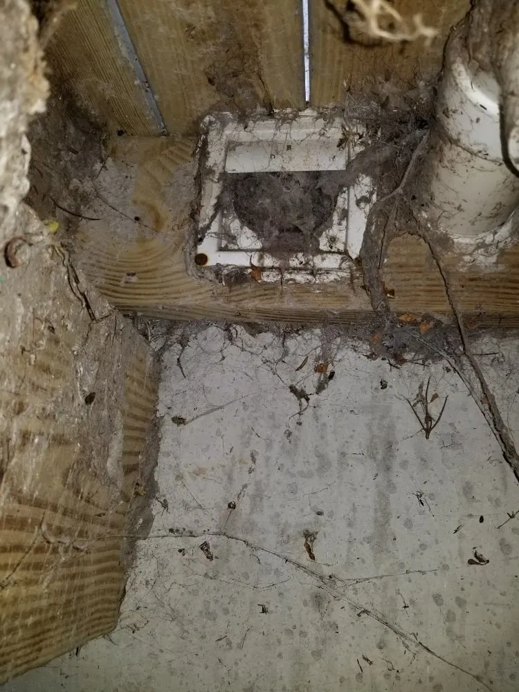 Slide of All Island Dryer Vent Solutions