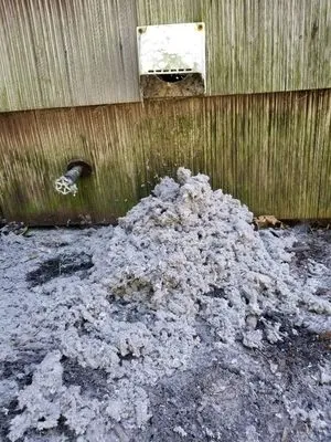 All Island Dryer Vent Solutions Logo